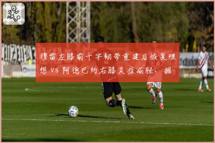 穆雷左膝前十字韧带重建后恢复理想 vs 阿德巴约右膝炎症减轻，掘金后卫有望全明星后复出领先热火