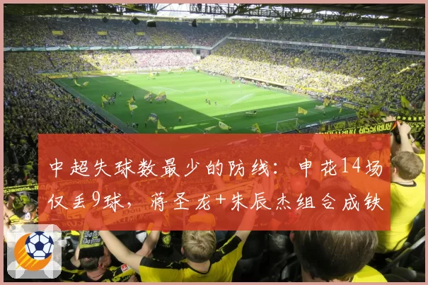 中超失球数最少的防线：申花14场仅丢9球，蒋圣龙+朱辰杰组合成铁壁