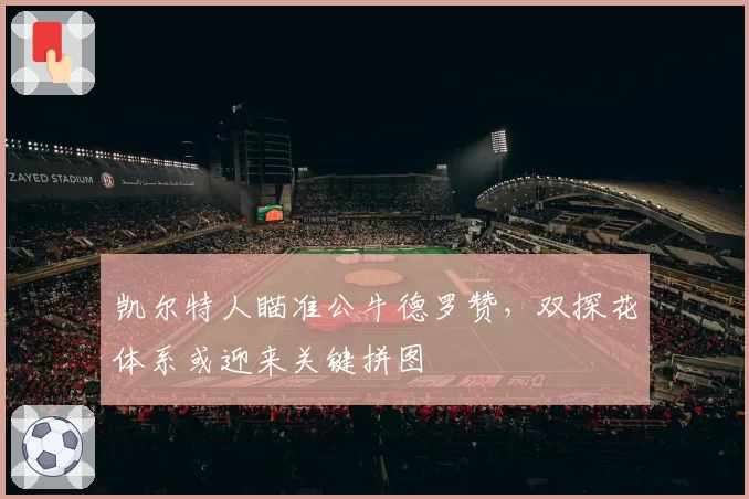 凯尔特人瞄准公牛德罗赞，双探花体系或迎来关键拼图